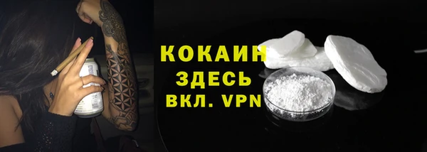 дживик Аркадак