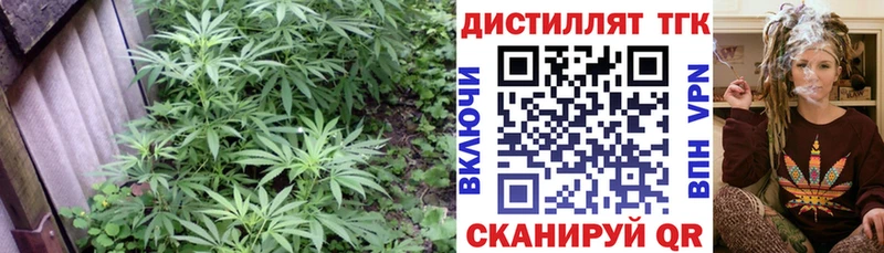 Дистиллят ТГК THC oil Нововоронеж